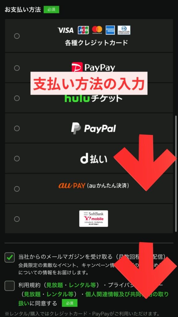 アカウント基本情報、支払い方法を入力2
