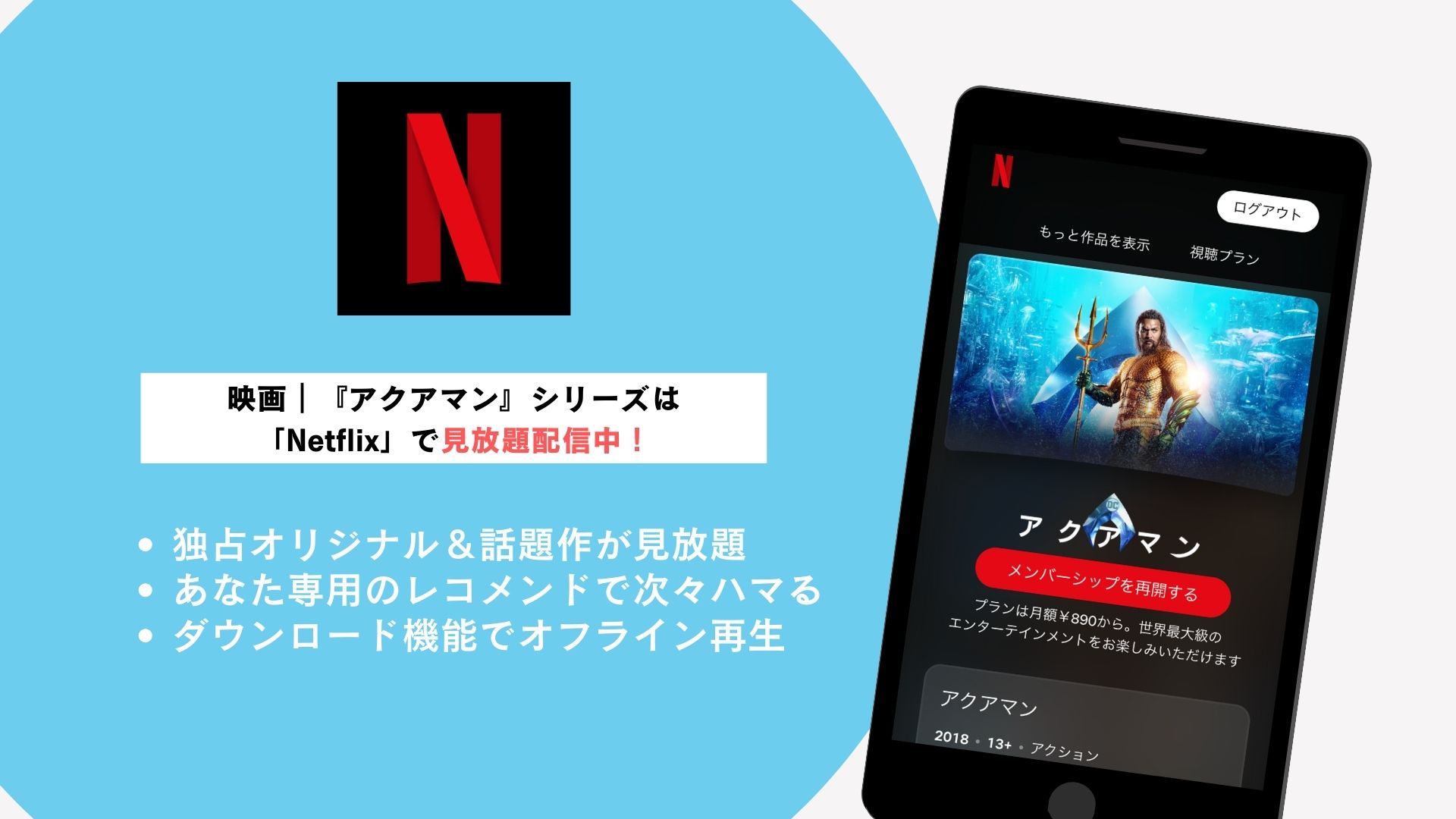 Netflix解説
